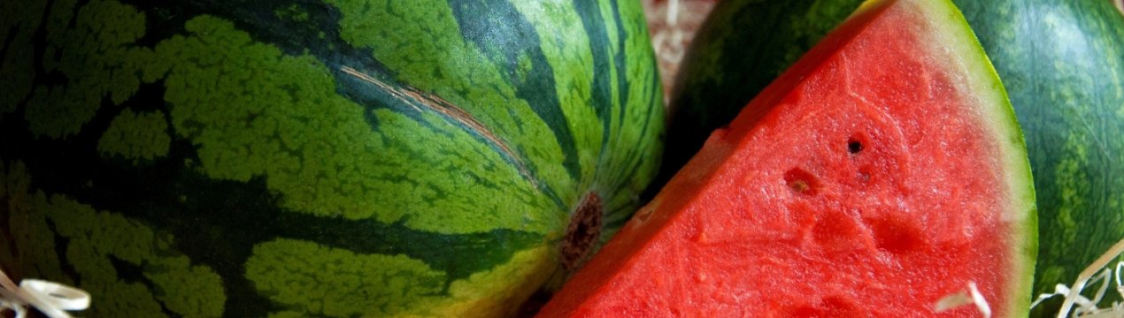 Сезон кавунів на Закарпатті почався на місяць раніше, ніж зазвичай